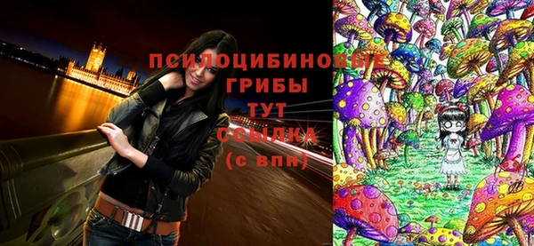 герыч Алексин
