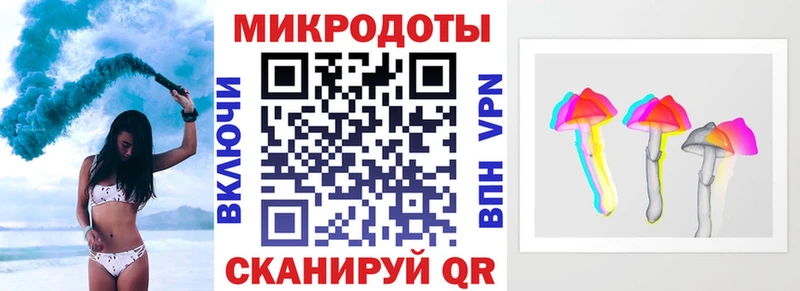 закладки  Зеленогорск  Галлюциногенные грибы Psilocybine cubensis 